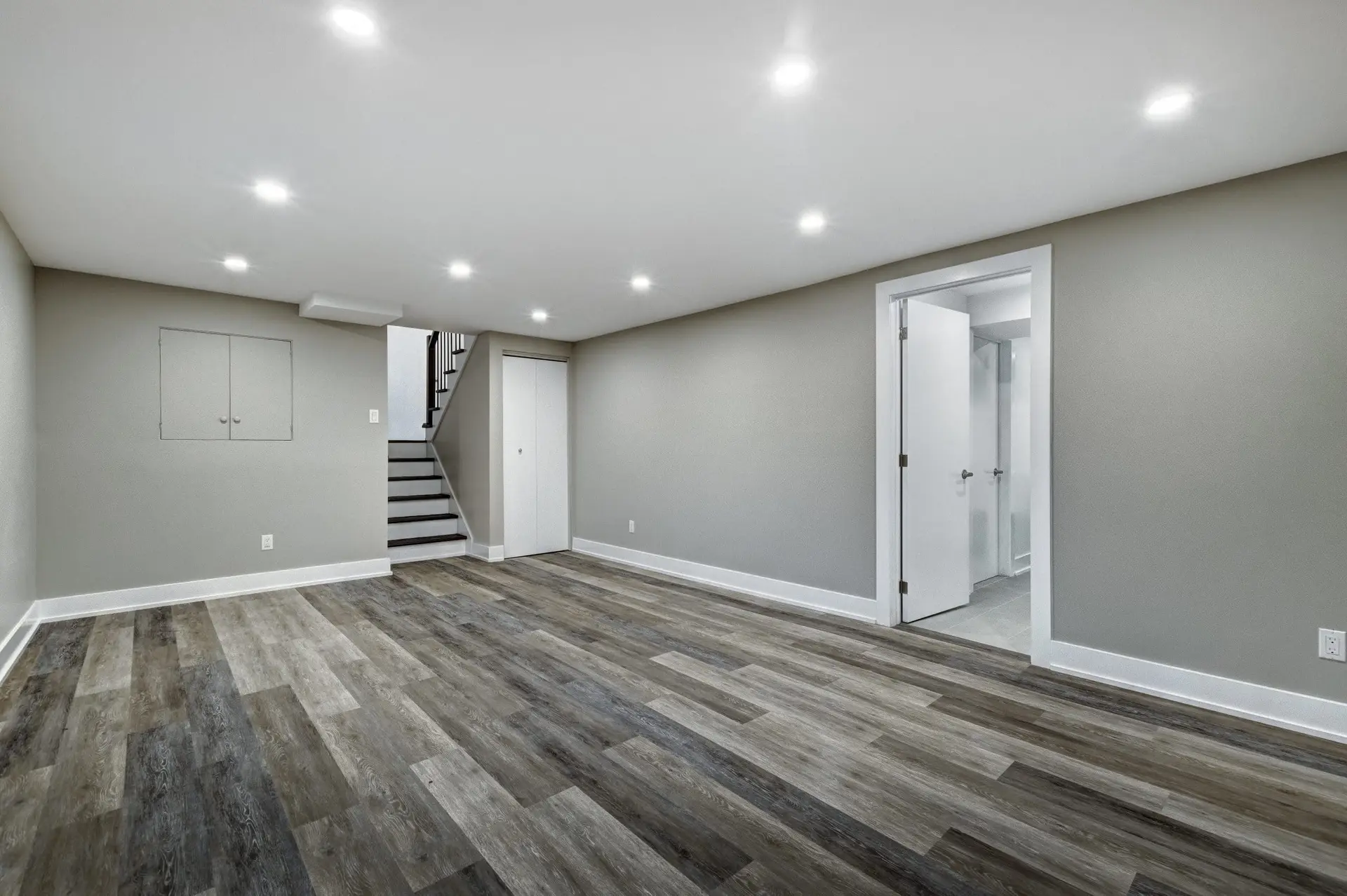 Basement Remodel